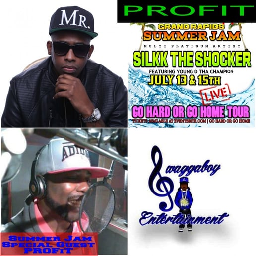 Gallery photo 4 of Profit