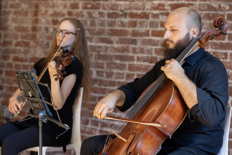 Gallery photo 18 of Lepard String Duo