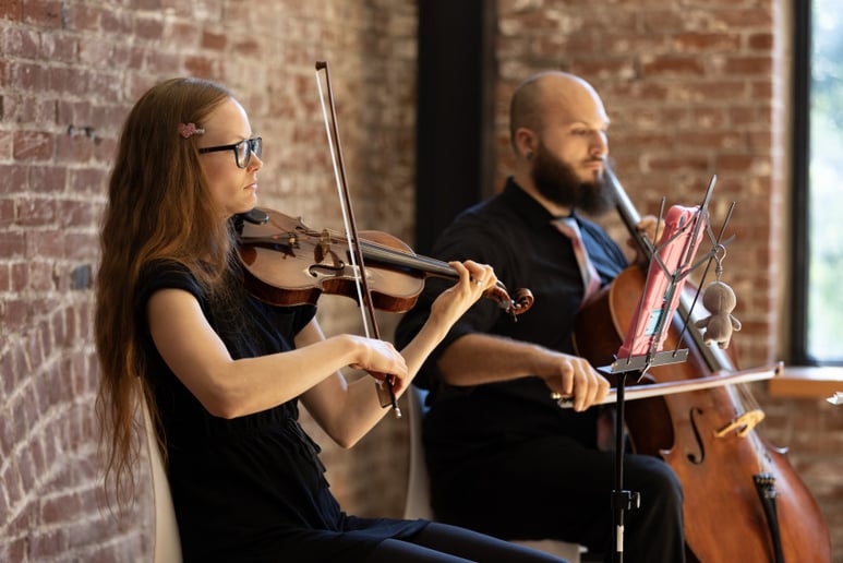 Gallery photo 7 of Lepard String Duo