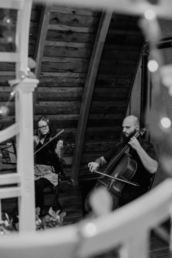 Gallery photo 15 of Lepard String Duo