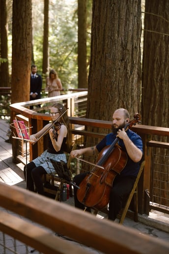 Gallery photo 4 of Lepard String Duo