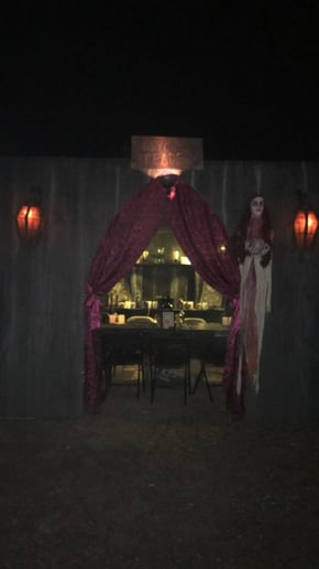 Gallery photo 1 of Psychic Gina