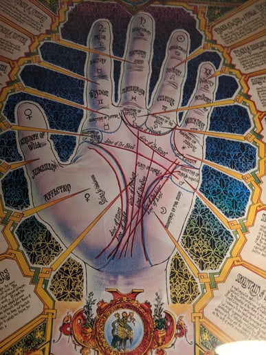 Gallery photo 1 of Psychic Intuitive Starlein Fox