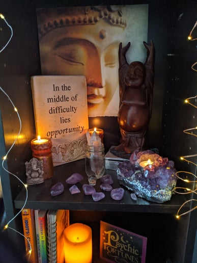 Gallery photo 4 of Psychic Intuitive Starlein Fox