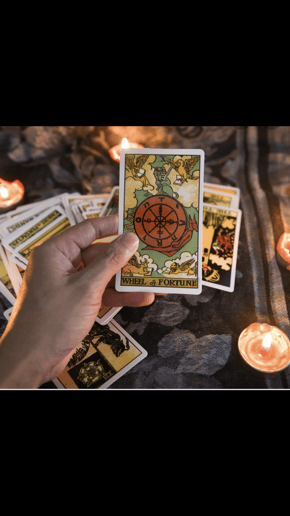 Gallery photo 2 of Psychic Parris