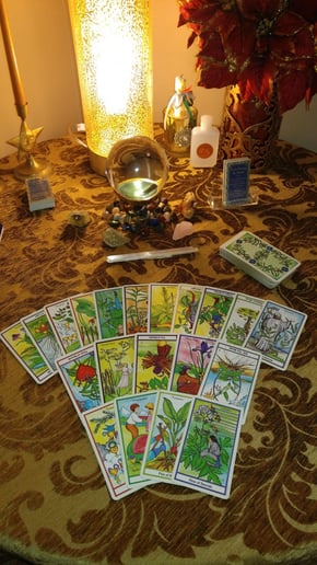 Gallery photo 4 of Psychic Readings By Delilah