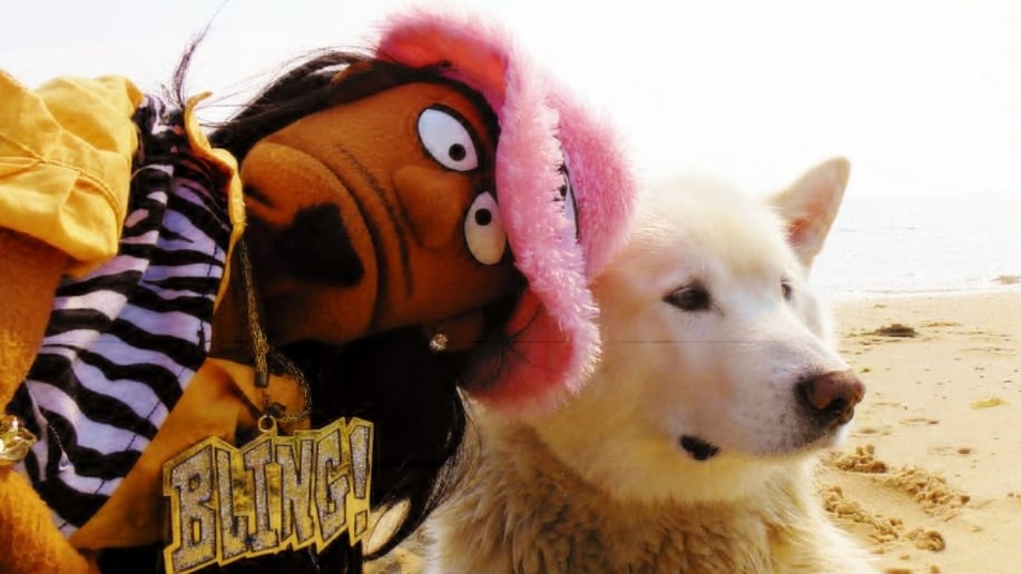 Gallery photo 3 of Puppetgram Productions