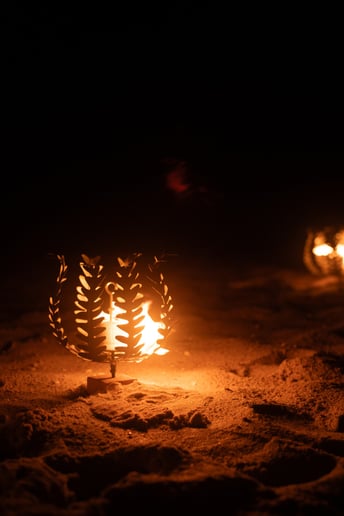 Gallery photo 9 of Pure Fire