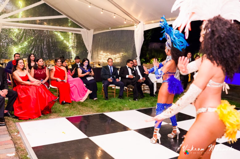 Gallery photo 53 of Pure Samba Entertainment