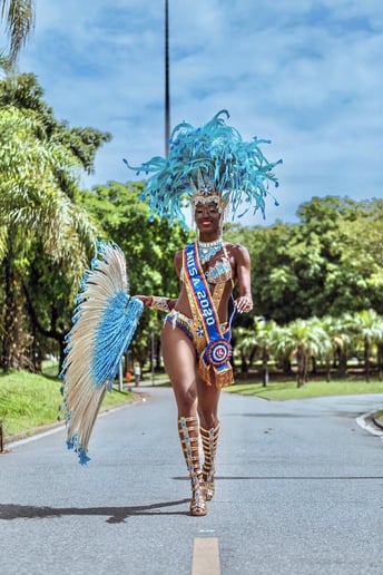 Gallery photo 20 of Pure Samba Entertainment