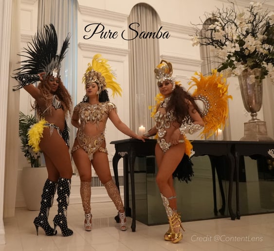 Gallery photo 43 of Pure Samba Entertainment