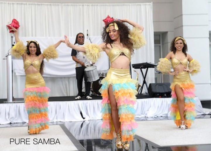 Gallery photo 51 of Pure Samba Entertainment