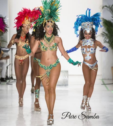Gallery photo 18 of Pure Samba Entertainment