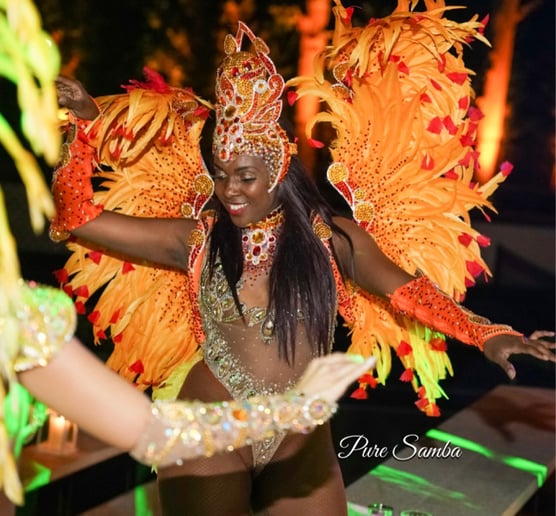 Gallery photo 41 of Pure Samba Entertainment