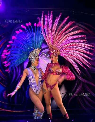 Gallery photo 12 of Pure Samba Entertainment