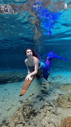 Gallery photo 10 of Purple Desert Siren