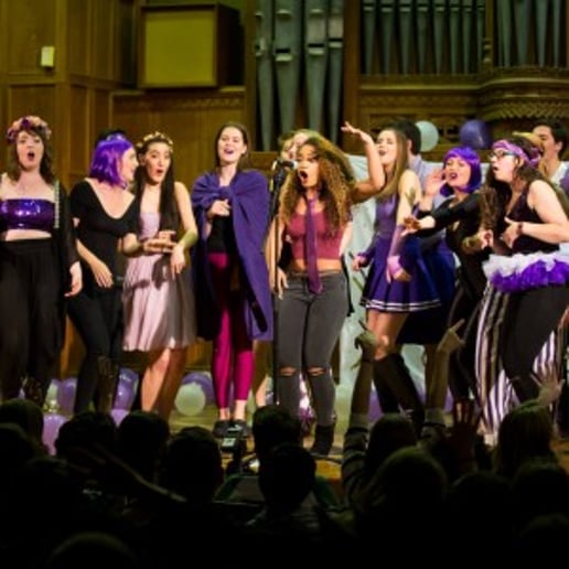 Gallery photo 2 of Purple Haze
