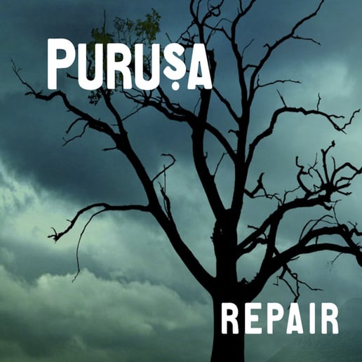 Gallery photo 5 of Purusa