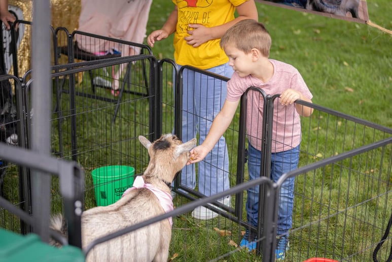 Gallery photo 4 of Pygmy Goat Parties & Petting Zoos