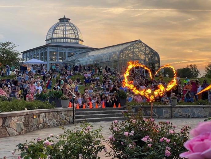 Gallery photo 7 of Pyro Circus