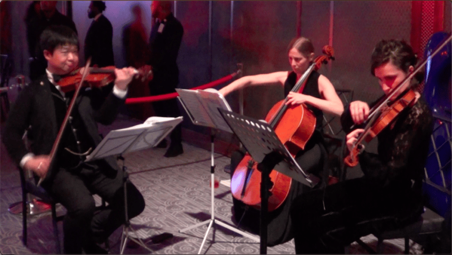 Gallery photo 13 of Xinou Wei Strings