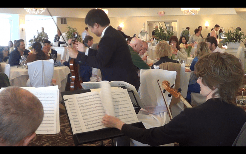 Gallery photo 30 of Xinou Wei Strings