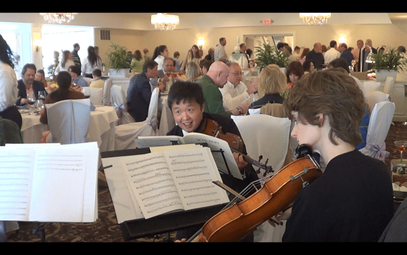 Gallery photo 28 of Xinou Wei Strings