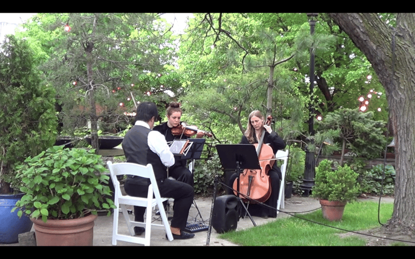 Gallery photo 66 of Xinou Wei Strings