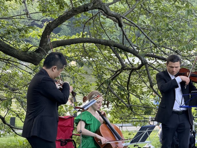 Gallery photo 67 of Xinou Wei Strings