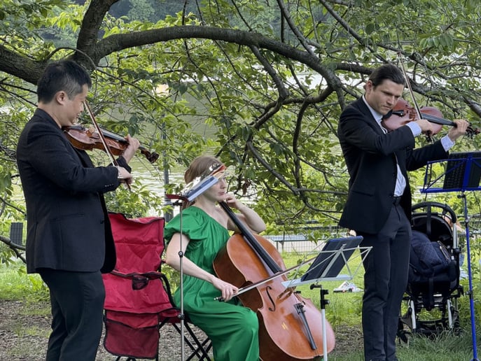 Gallery photo 68 of Xinou Wei Strings