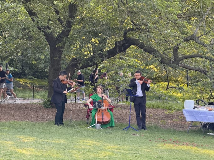 Gallery photo 69 of Xinou Wei Strings