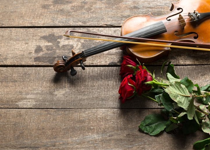 Gallery photo 8 of Quartetto Solo