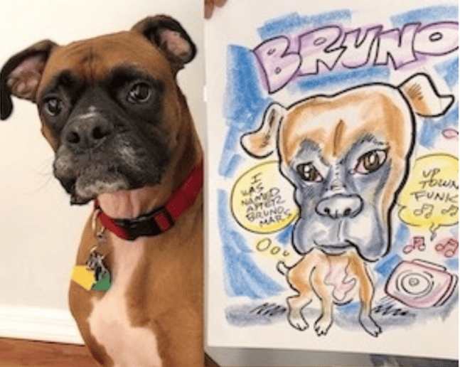 Gallery photo 8 of Quick Draw