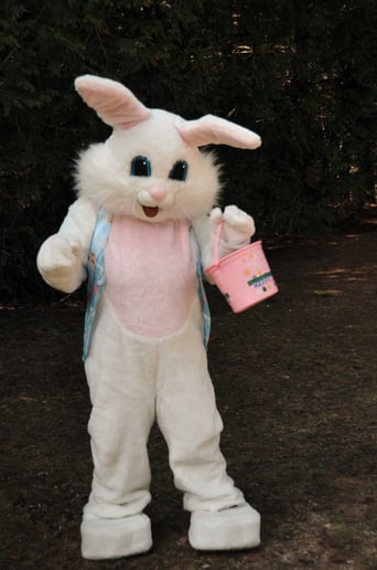 Gallery photo 1 of Rabbit Habits Easter Event Services