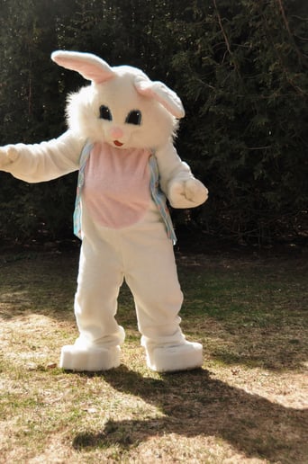 Gallery photo 2 of Rabbit Habits Easter Event Services