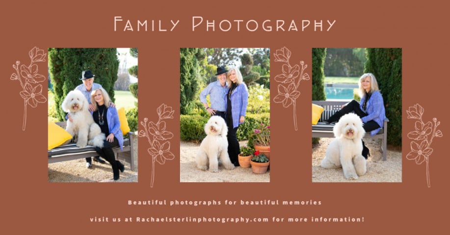 Gallery photo 15 of Rachael Sterlin Photography