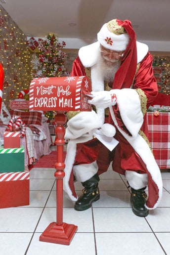 Gallery photo 13 of Rafael Claus