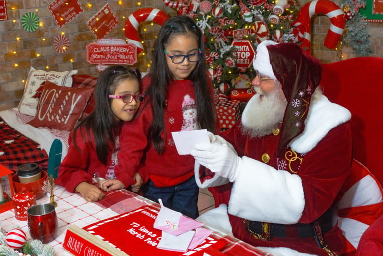 Gallery photo 25 of Rafael Claus