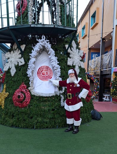 Gallery photo 23 of Rafael Claus