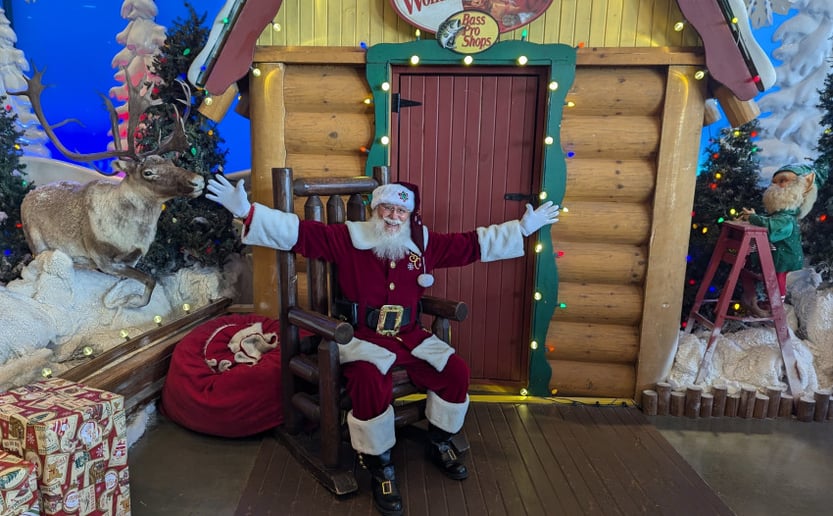 Gallery photo 20 of Rafael Claus