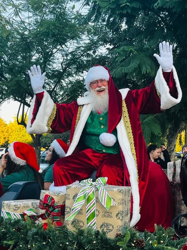 Gallery photo 5 of Rafael Claus