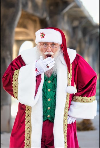Gallery photo 8 of Rafael Claus