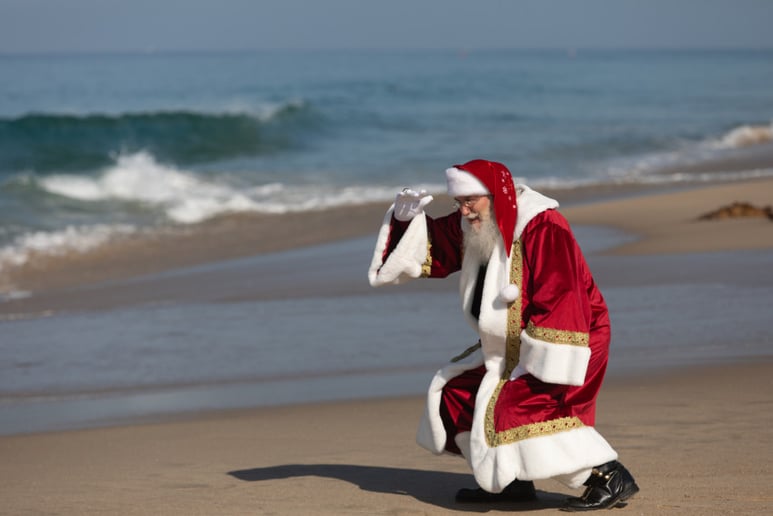 Gallery photo 39 of Rafael Claus