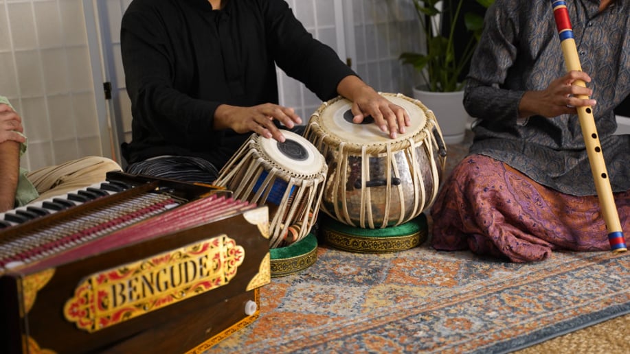 Gallery photo 5 of Raga Musician, Tabla Player Mir