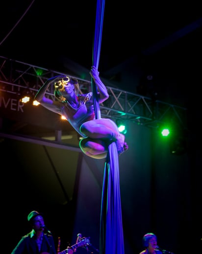 Gallery photo 1 of Starry Night Productions