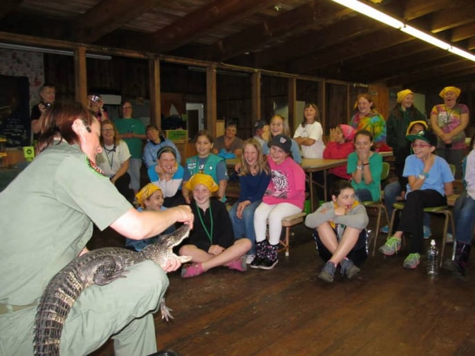 Gallery photo 1 of Rainforest Reptile Shows