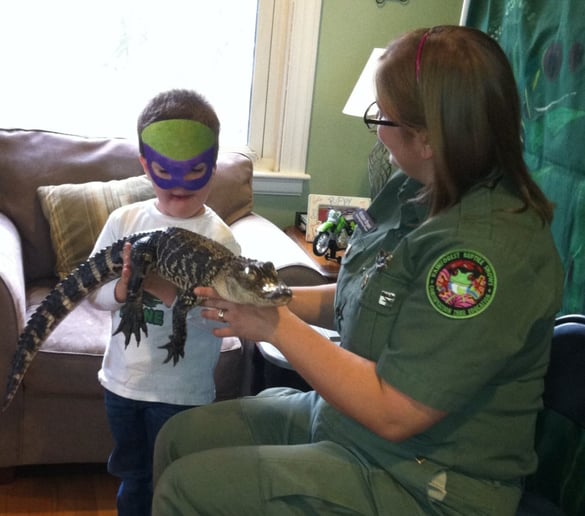 Gallery photo 2 of Rainforest Reptile Shows