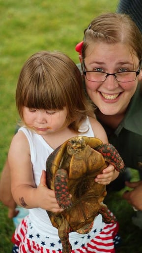 Gallery photo 3 of Rainforest Reptile Shows