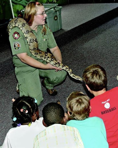 Gallery photo 4 of Rainforest Reptile Shows