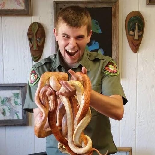 Gallery photo 5 of Rainforest Reptile Shows